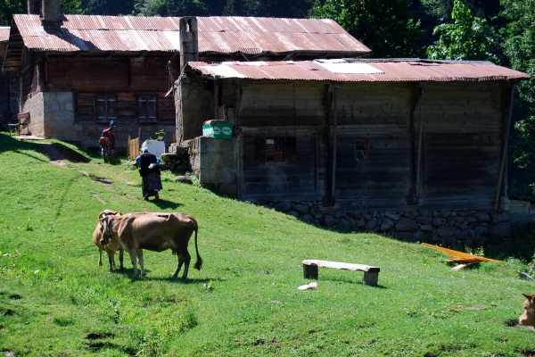 Ayder plateau rize turkey