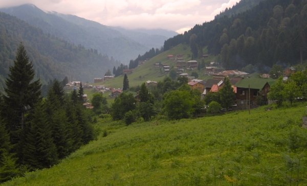 Ayder plateau