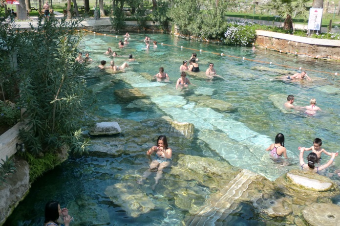 Cleoptaras pool