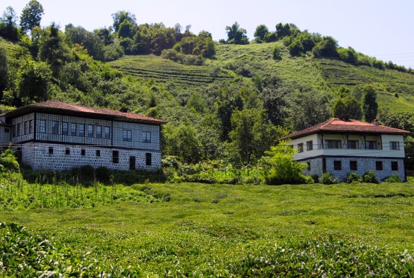 Findikli houses