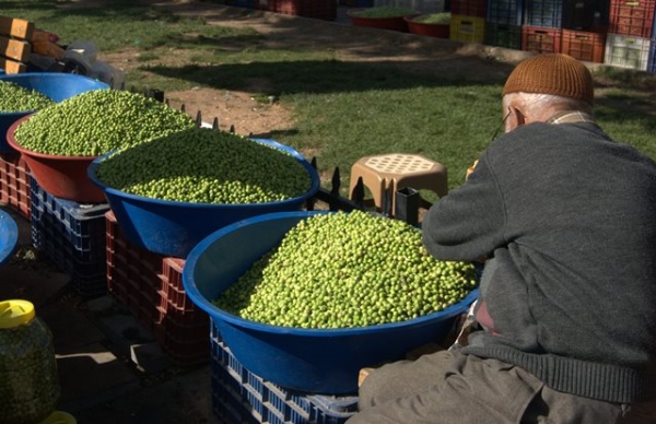 Olives for sale in Gaziantep