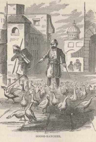 The goose seller