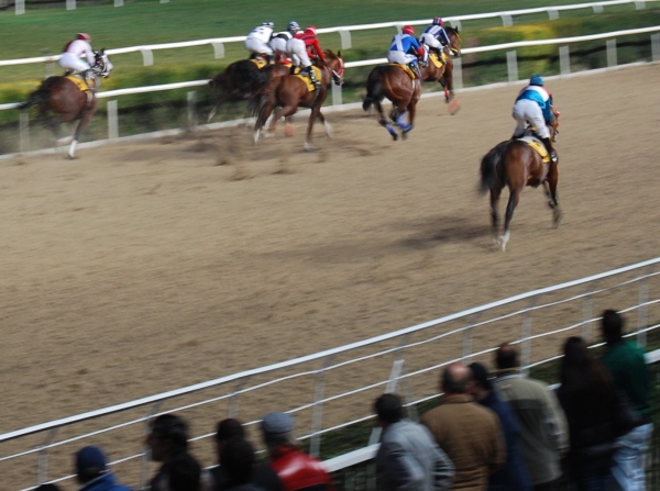 izmir horse racing