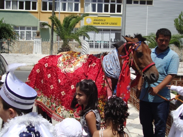 turkish-circumcision-party