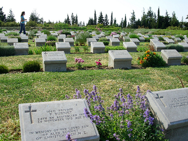 Lone pine Gallipoli